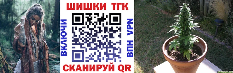 Марихуана сатива  мега как зайти  Жирновск 